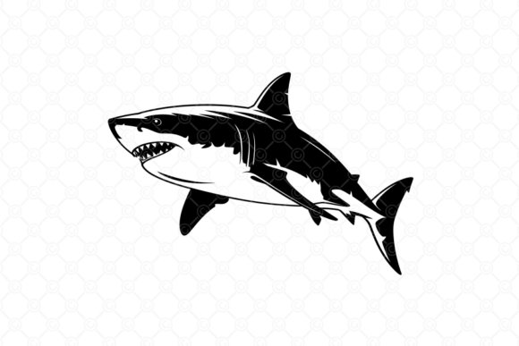 Download Shark SVG, Great White Shark SVG, 006 - Premium Resources