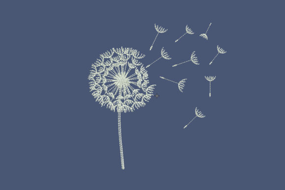 Download Flower Dandelion - Dandelion Collection