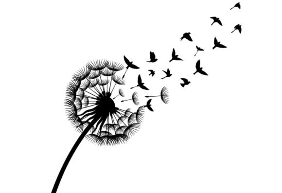 Download Dandelion Silhouette with Birds Flying - Dandelion Collection